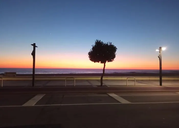 Fragosa - Vieira's Mar *