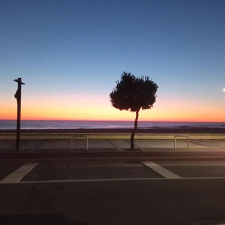 Fragosa - Vieira's Mar *